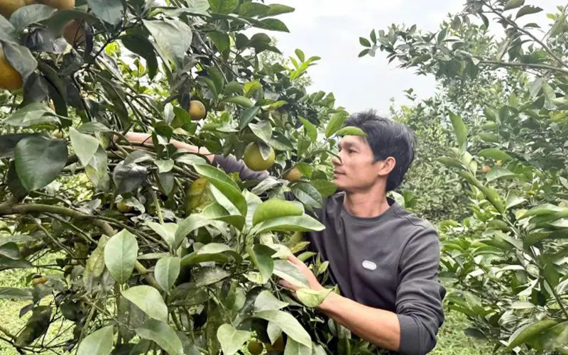 Những thay đổi mới