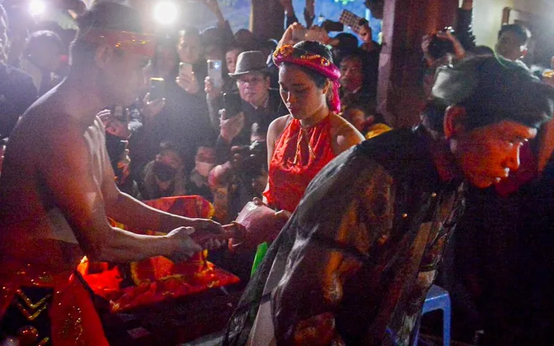 Phản Ứng Từ Cộng Đồng