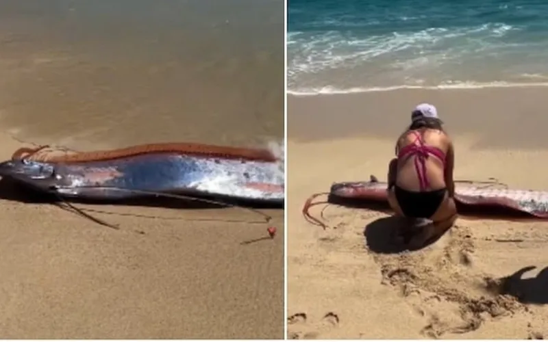 Khám Phá Bất Ngờ