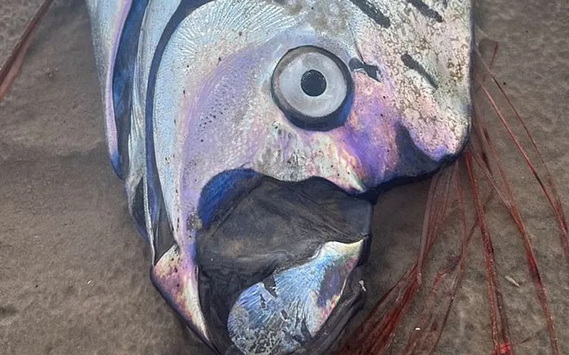 Văn Hóa và Niềm Tin