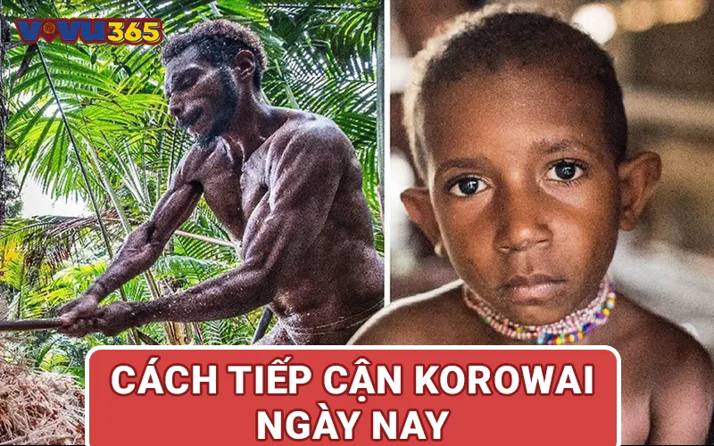 Cách Tiếp Cận Korowai Ngày Nay