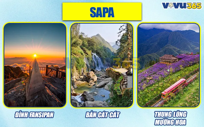 Sapa