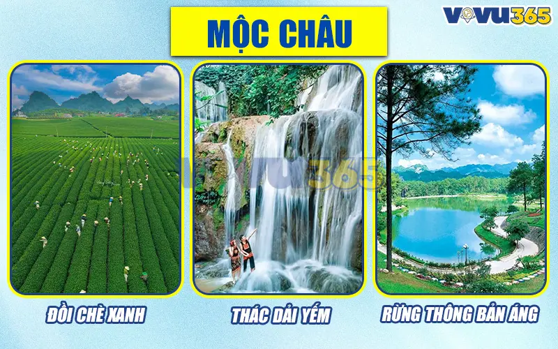 Mộc Châu