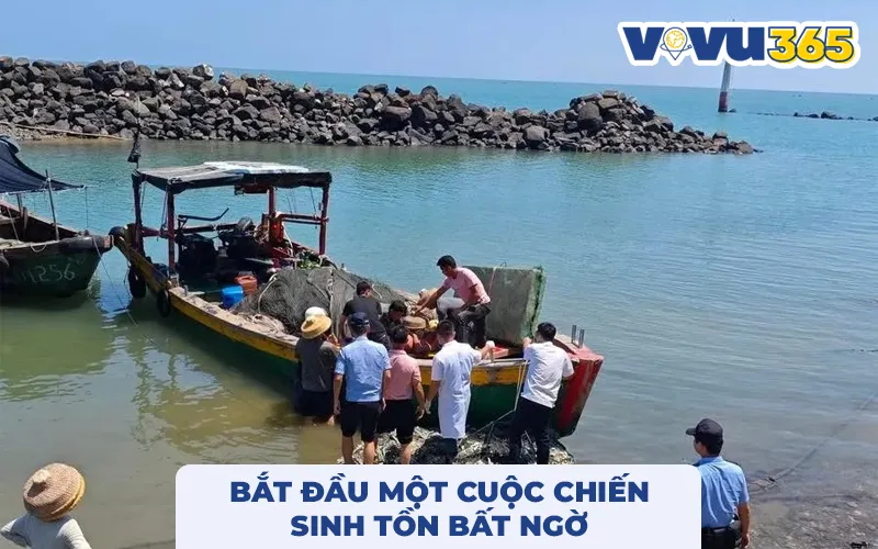 Bắt đầu cuộc chiến chiến sinh tồn trên biển