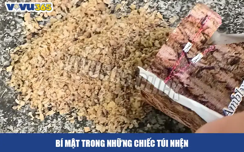 Bí mật trong những túi nhện 