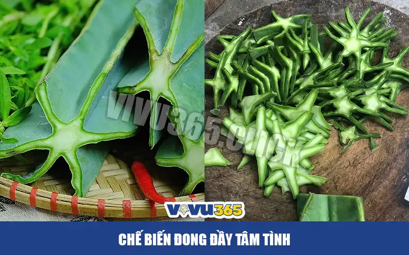 Chế biến canh xương rồng