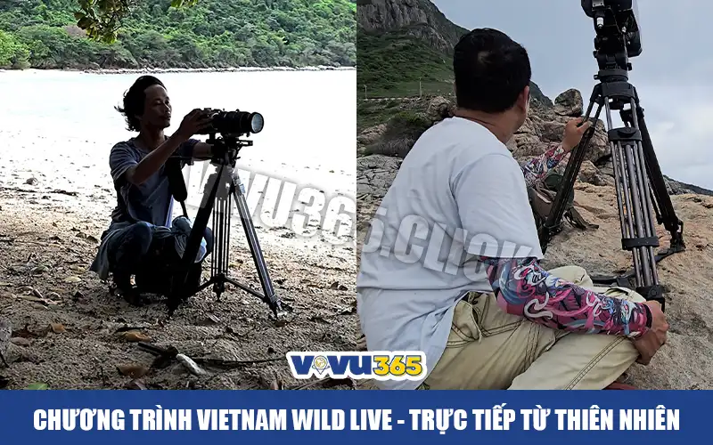 Chương trình Vietnam Wild Live