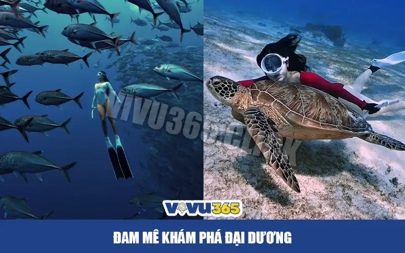 Câu chuyện tình yêu bắt đầu khi cả 2 cùng đam mê khám phá đại dương