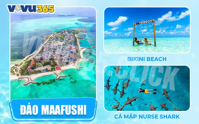 Đảo Maafushi – Thiên đường du lịch giá rẻ