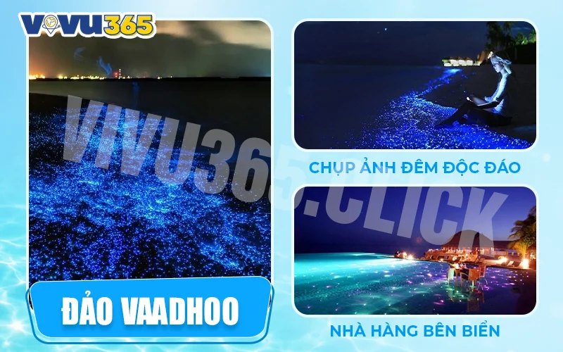 Đảo Vaadhoo – Biển phát sáng kỳ ảo
