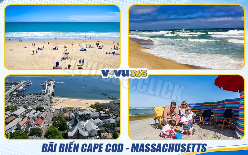 Bãi biển Cape Cod, Massachusetts