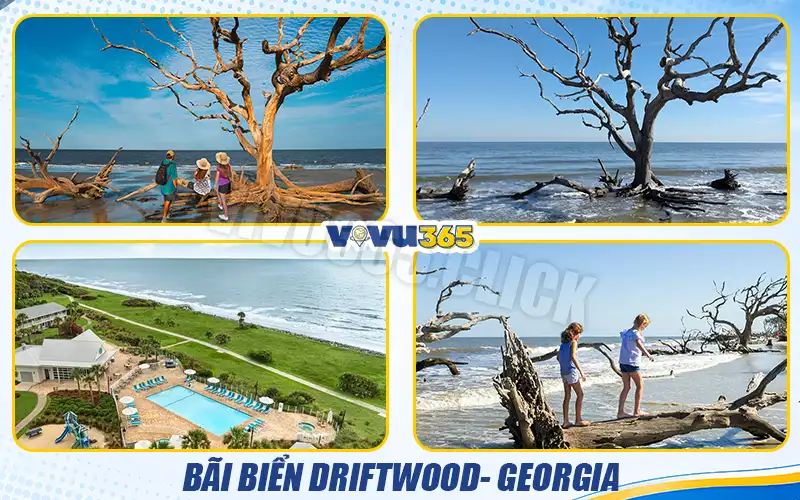 Bãi biển Driftwood, Georgia