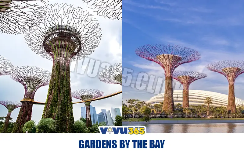 Gardens By The Bay