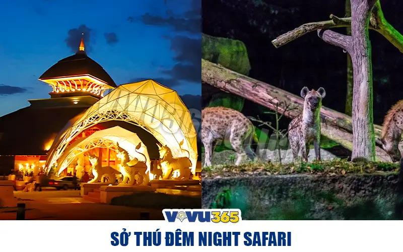Sở thú đêm Night Safari