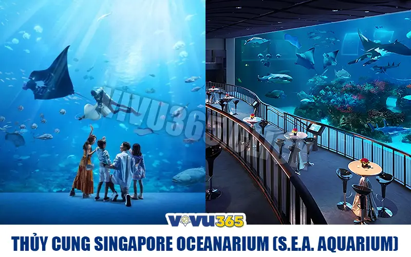 Thủy cung Singapore Oceanarium