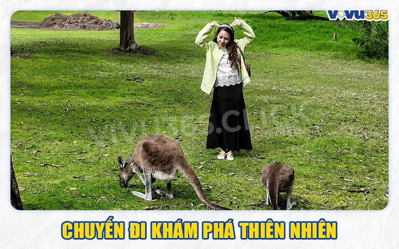Chuyến Đi Khám Phá Thiên Nhiên
