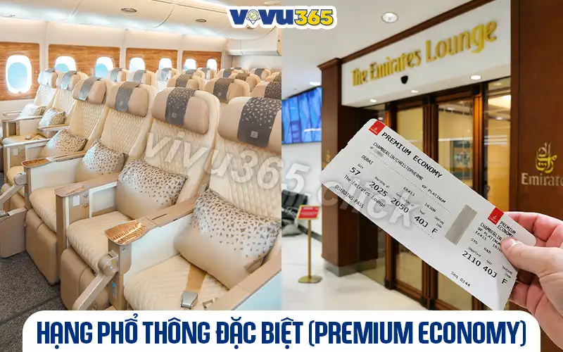 Hạng Phổ thông đặc biệt (Premium Economy)