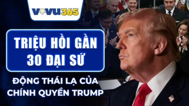 Triệu Hồi Gần 30 Đại Sứ