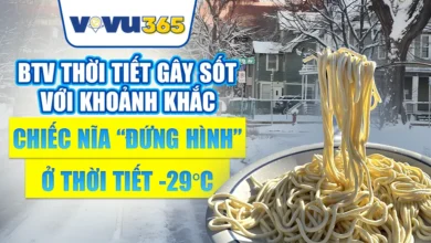 chiếc nĩa lơ lửng