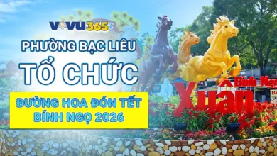 Phường Bạc Liêu Tổ Chức Đường Hoa Đón Tết Bính Ngọ 2026