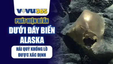 Phát hiện bí ẩn dưới đáy biển Alaska