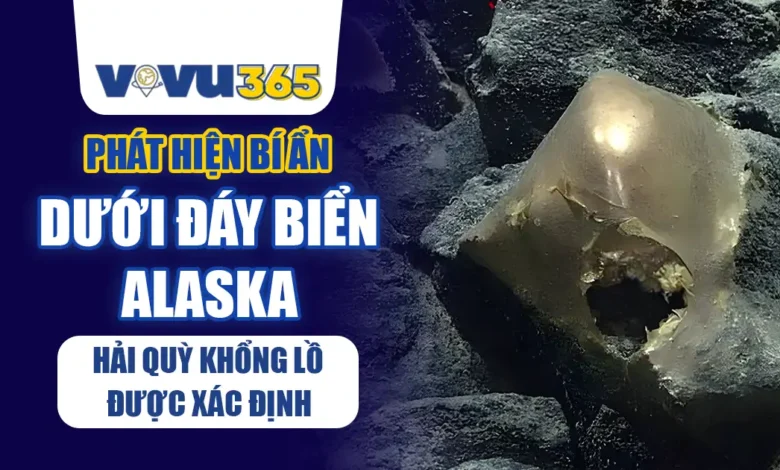 Phát hiện bí ẩn dưới đáy biển Alaska