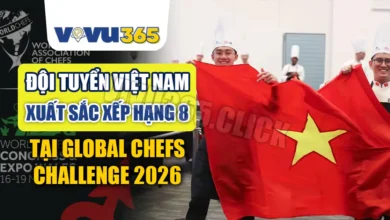 Đội Tuyển Việt Nam