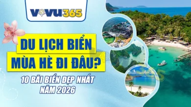 Du Lịch Biển Mùa Hè