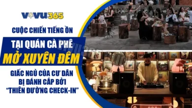 Quán cà phê quận 1 làm ổn xuyên đêm