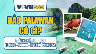 Đảo Palawan Có Gì? Trải Nghiệm Du Lịch El Nido - Coron - Puerto Princesa