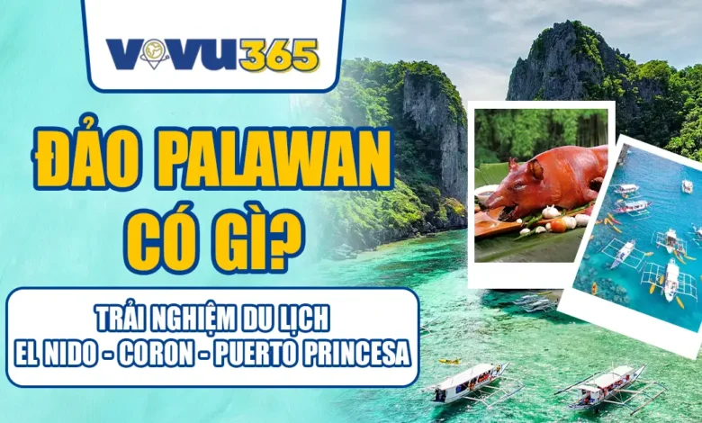 Đảo Palawan Có Gì? Trải Nghiệm Du Lịch El Nido - Coron - Puerto Princesa