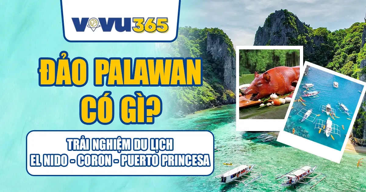 Đảo Palawan Có Gì? Trải Nghiệm Du Lịch El Nido - Coron - Puerto Princesa