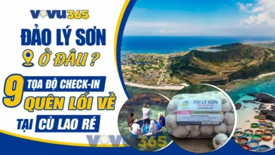 Du lịch Đảo Lý Sơn