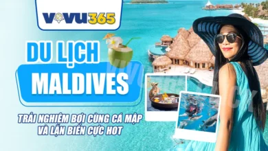 Du Lịch Maldives - Trải Nghiệm Bơi Cùng Cá Mập Và Lặn Biển Cực Hot