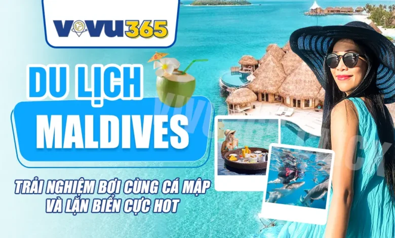 Du Lịch Maldives - Trải Nghiệm Bơi Cùng Cá Mập Và Lặn Biển Cực Hot