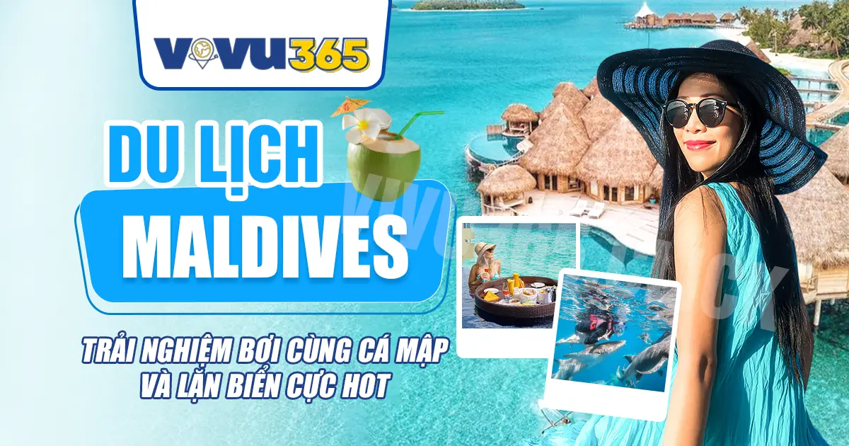 Du Lịch Maldives - Trải Nghiệm Bơi Cùng Cá Mập Và Lặn Biển Cực Hot