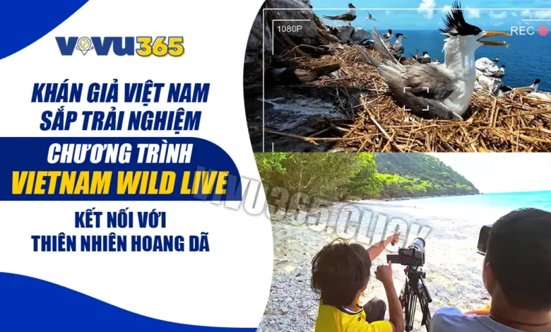 Vietnam Wild Live