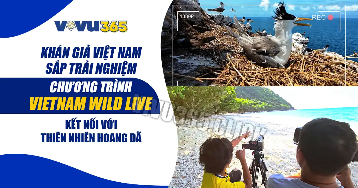 Vietnam Wild Live