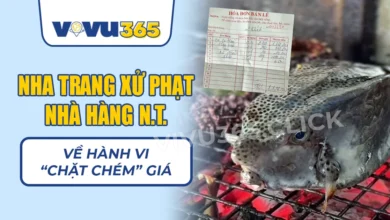 Xử phạt Nhà Hàng N.T. Nha Trang