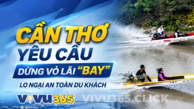 Cần Thơ yêu cầu ngừng hoạt động "Vỏ Lãi Bay"