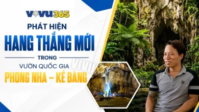 Hang Thắng trong động Phong Nha - Kẻ Bàng