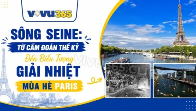 Bơi lội trên sông Seine mùa hè