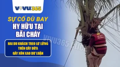 Sự cố Dù Bay tại Bãi Cháy