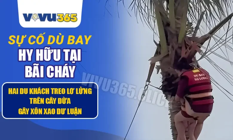 Sự cố Dù Bay tại Bãi Cháy