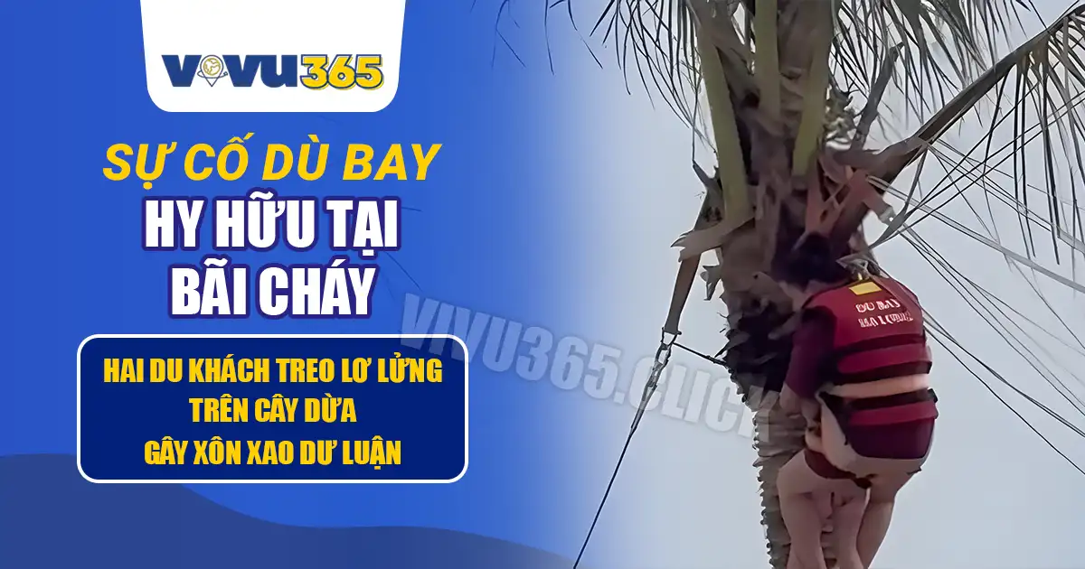 Sự cố Dù Bay tại Bãi Cháy