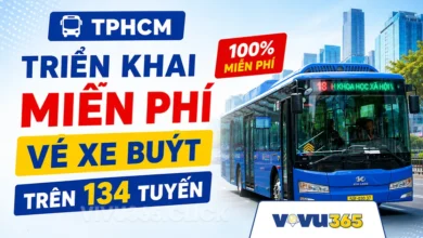 Miễn Phí Vé Xe Buýt TPHCM
